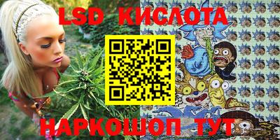 Альфа ПВП Можга